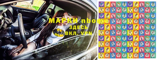 сатива Белокуриха
