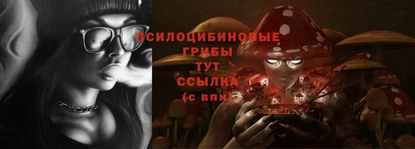 сатива Белокуриха